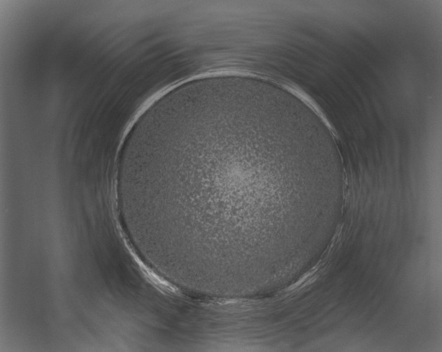 X0000054461101200507291341