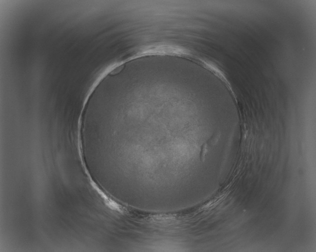 X0000054461103200507291341
