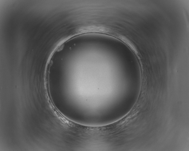X0000054461104200507291341