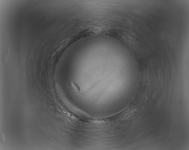 X0000054461105200507291341