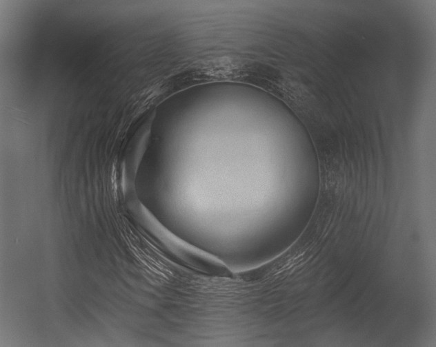 X0000054461106200507291341