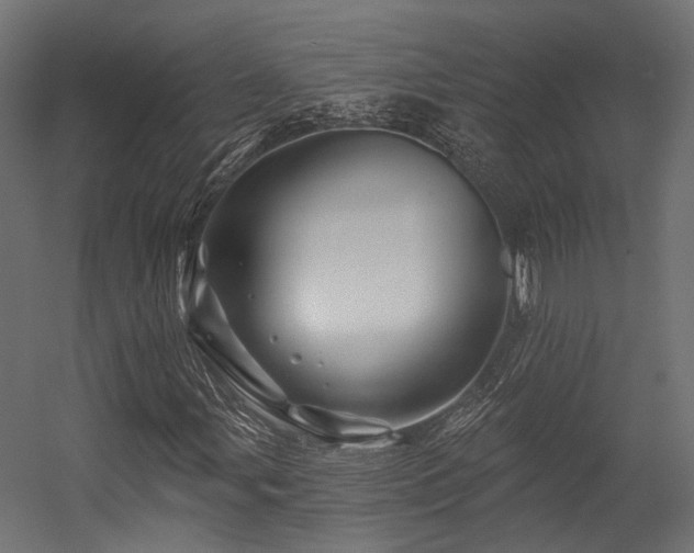 X0000054461107200507291341