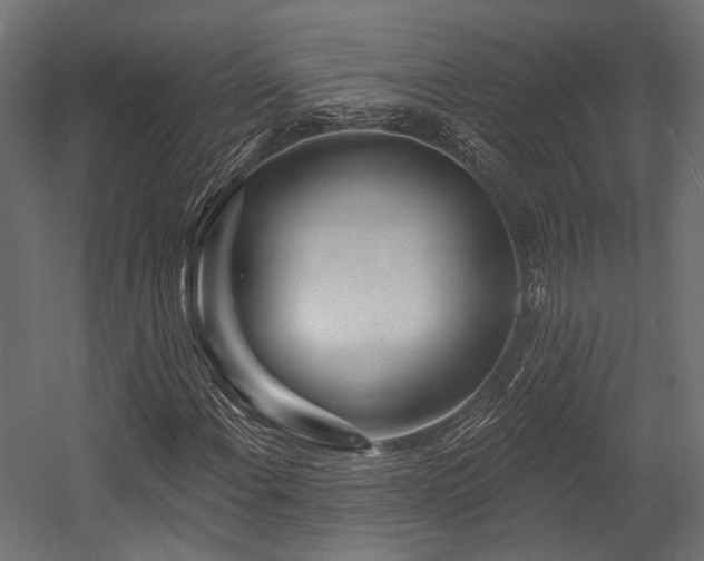 X0000054461108200507291341
