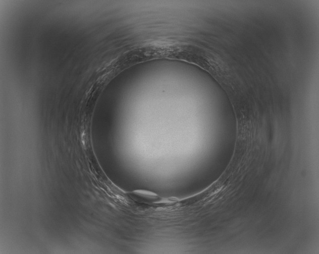 X0000054461109200507291341