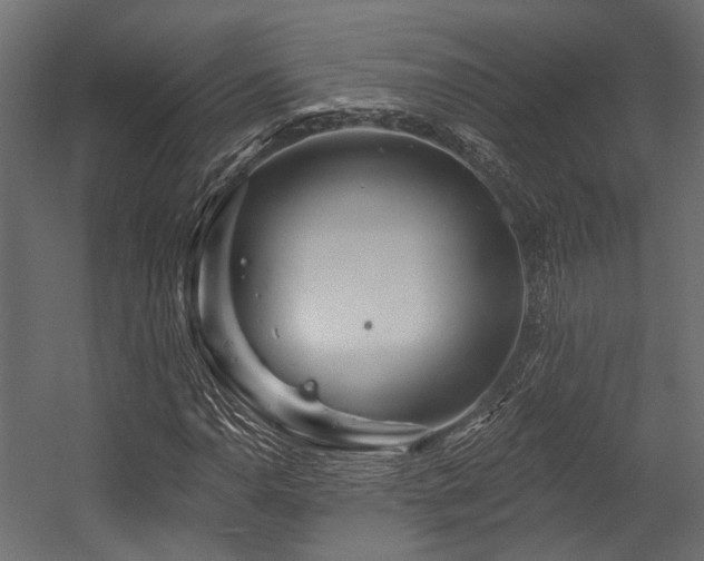 X0000054461110200507291341