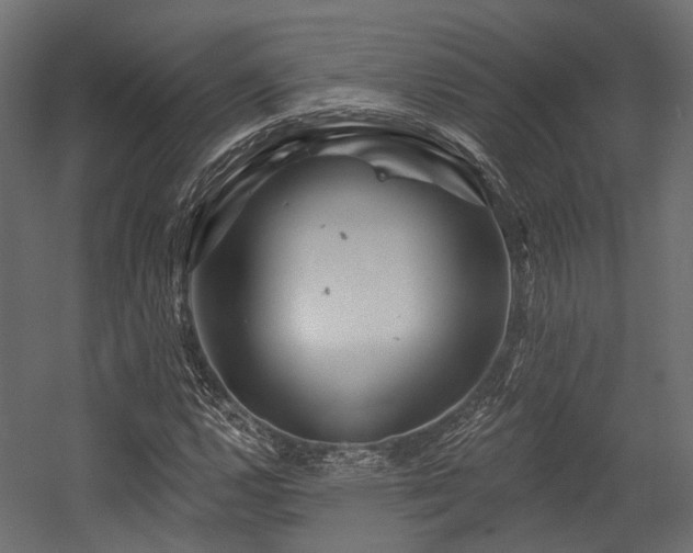 X0000054461112200507291341