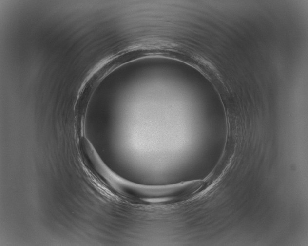 X0000054461114200507291341
