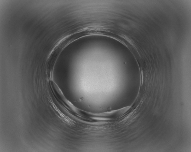 X0000054461115200507291341