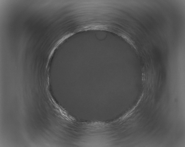 X0000054461117200507291341