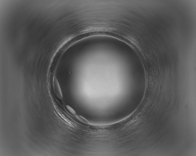 X0000054461119200507291341
