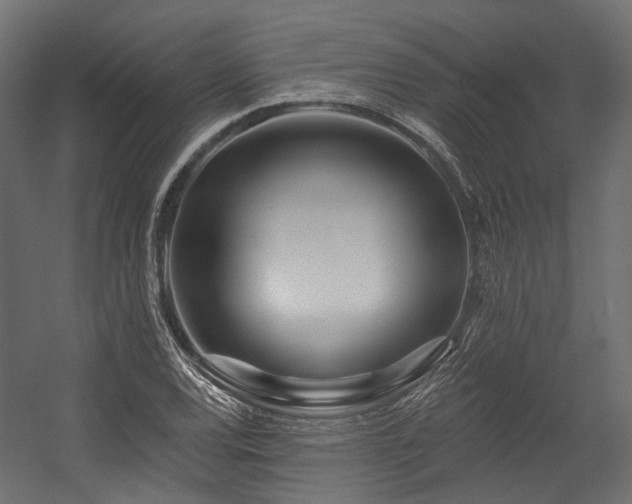 X0000054461120200507291341