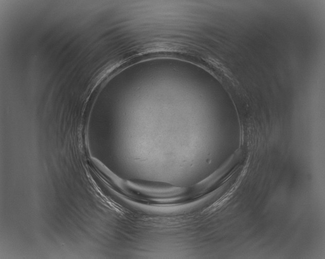 X0000054461121200507291341
