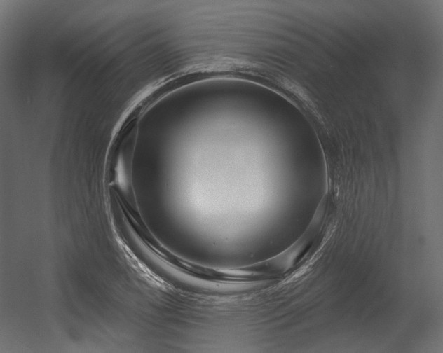 X0000054461122200507291341