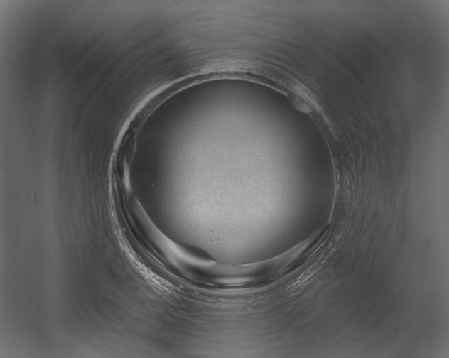 X0000054461124200507291341