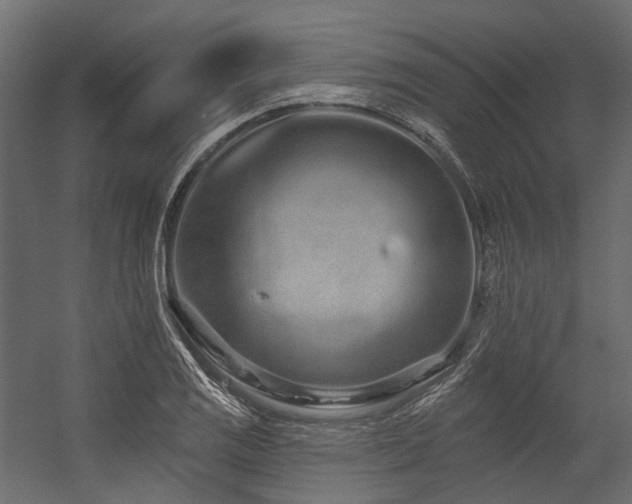 X0000054461125200507291341
