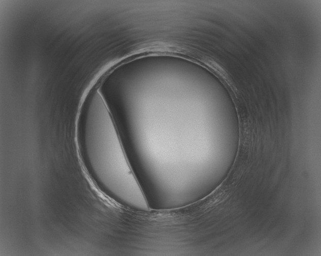 X0000054461128200507291341