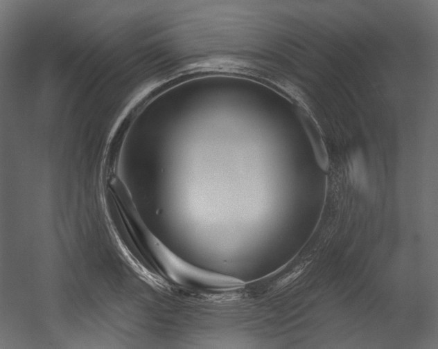 X0000054461131200507291341