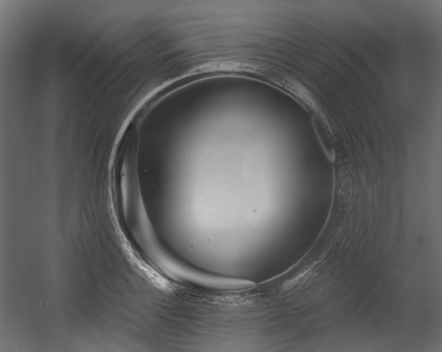 X0000054461132200507291341