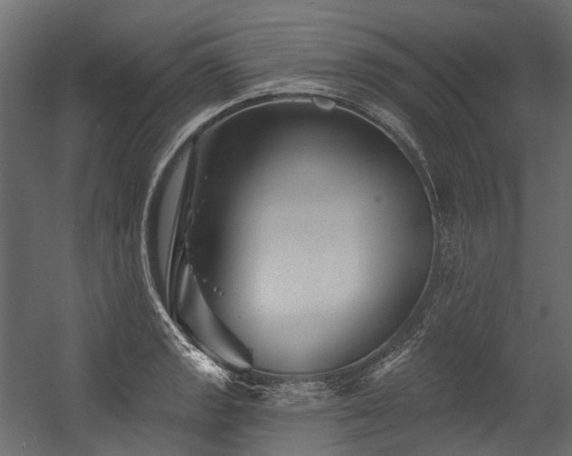 X0000054461133200507291341