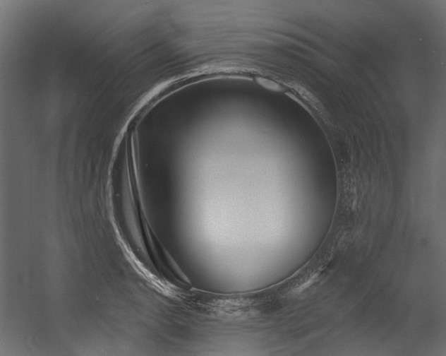 X0000054461134200507291341