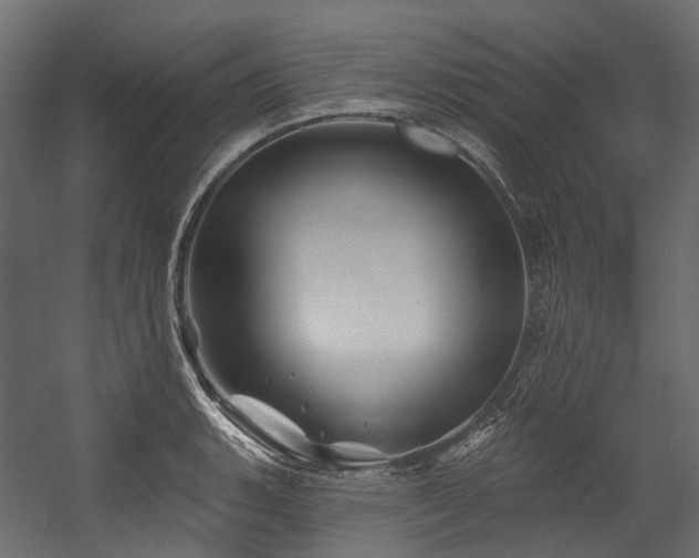 X0000054461135200507291341