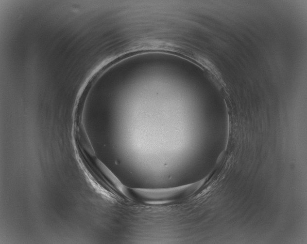 X0000054461136200507291341