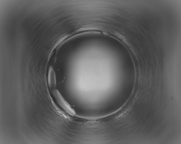 X0000054461137200507291341