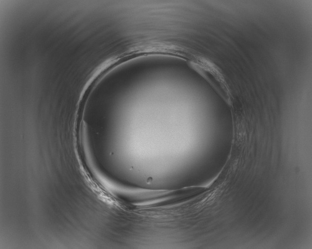 X0000054461138200507291341
