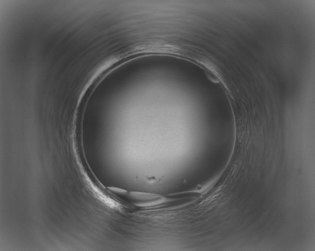 X0000054461139200507291341