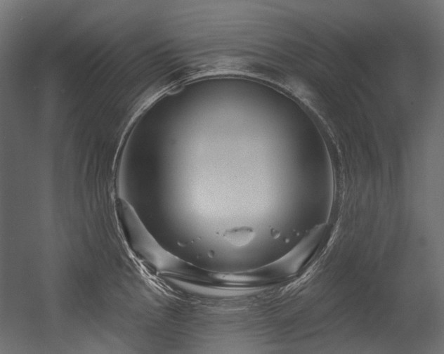 X0000054461145200507291341