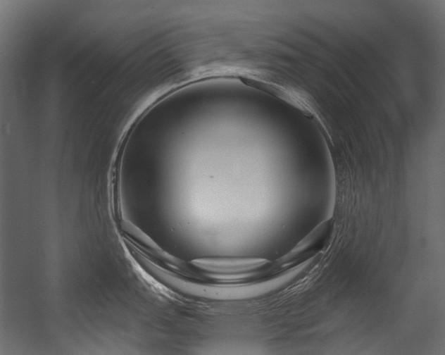 X0000054461151200507291341