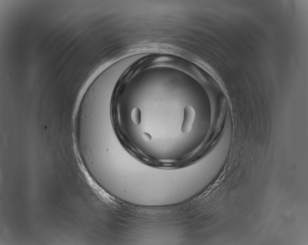 X0000054461152200507291341