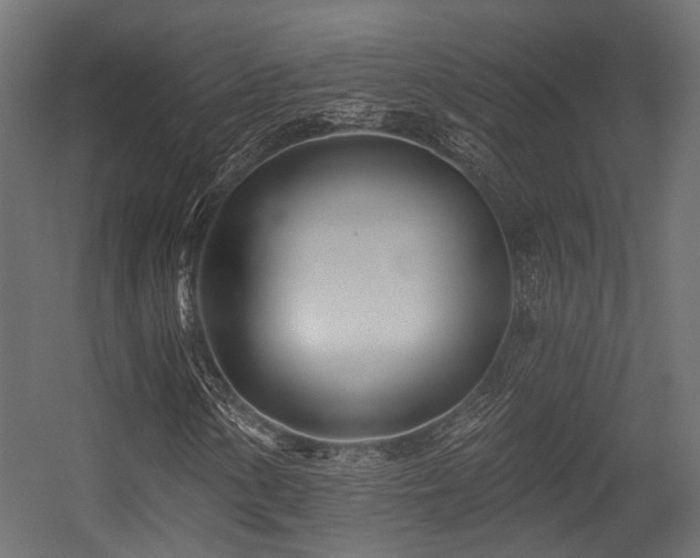 X0000054461154200507291341