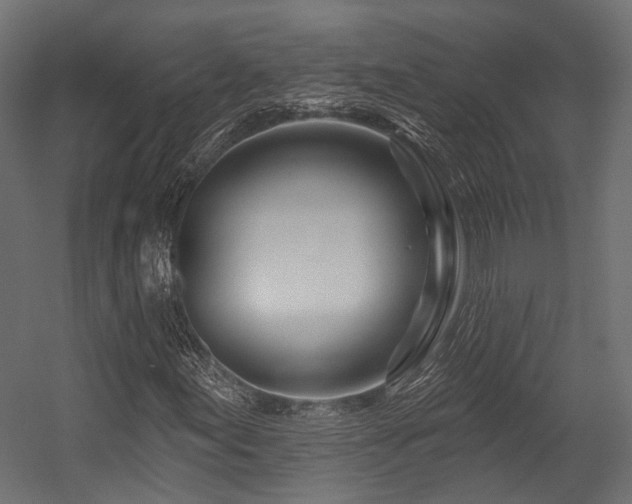 X0000054461155200507291341