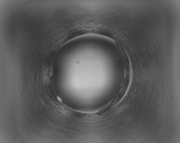X0000054461156200507291341