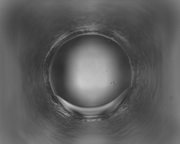 X0000054461160200507291340