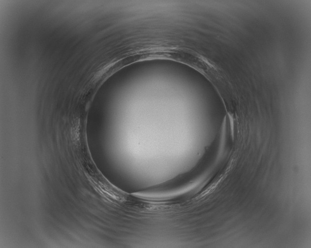 X0000054461161200507291340