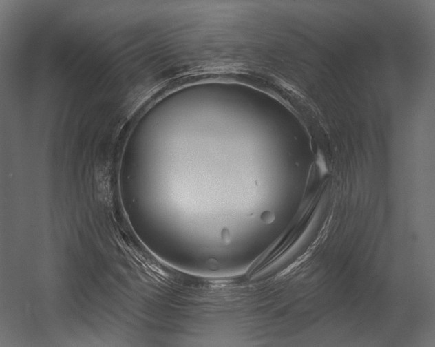 X0000054461162200507291340