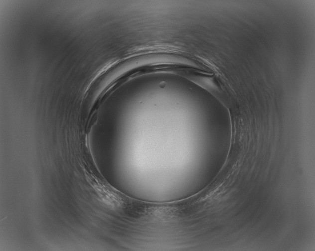 X0000054461163200507291340