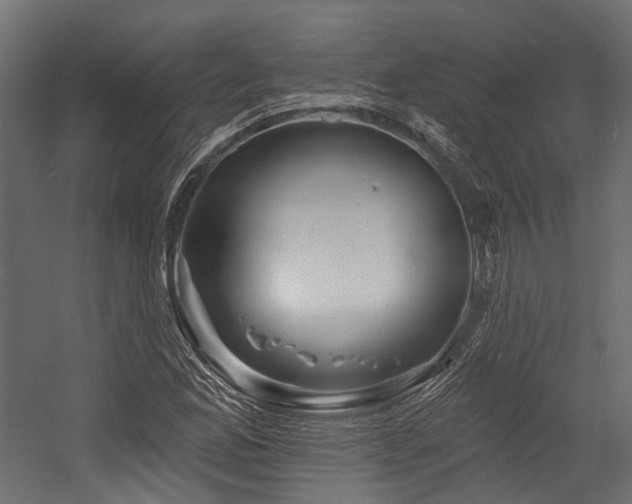 X0000054461165200507291340