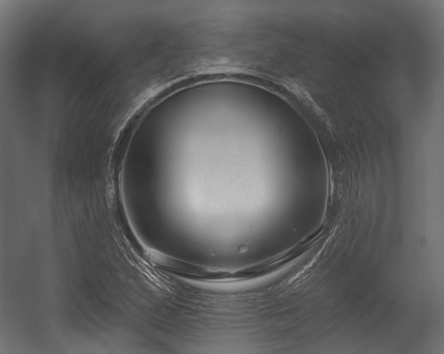 X0000054461167200507291340
