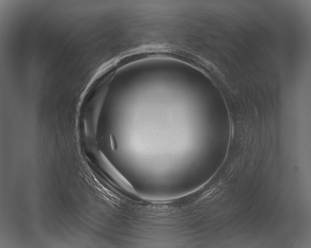 X0000054461168200507291340