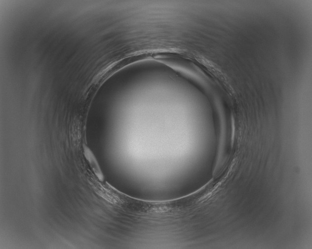 X0000054461169200507291340