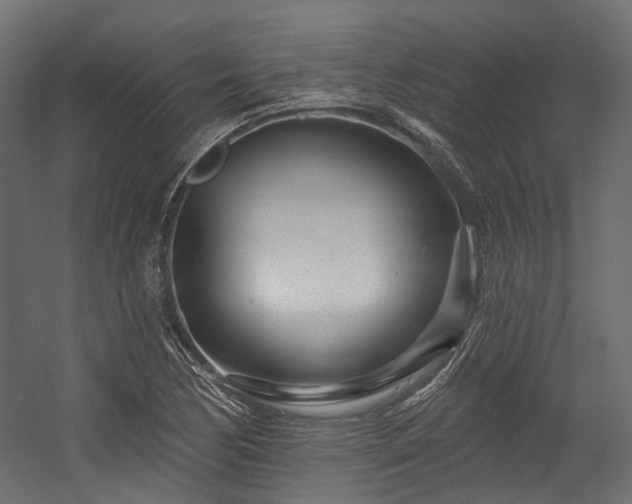 X0000054461170200507291340