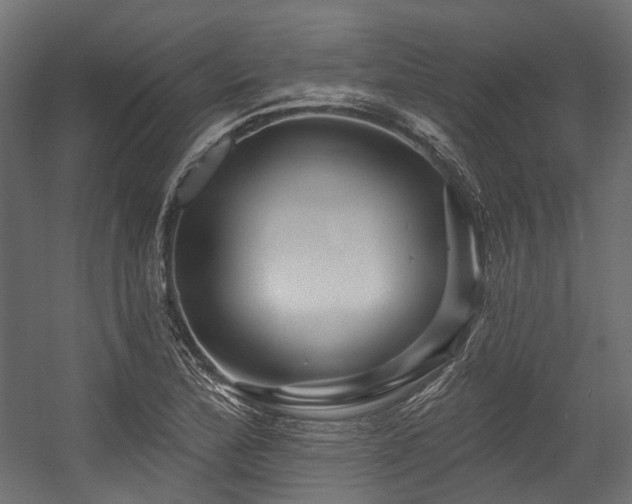 X0000054461172200507291340