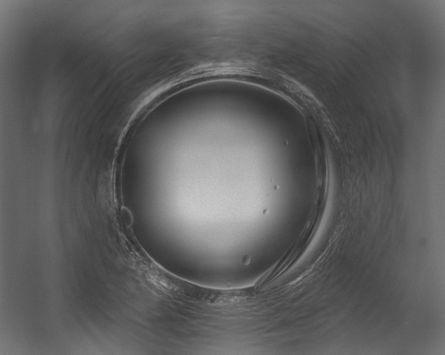 X0000054461174200507291340