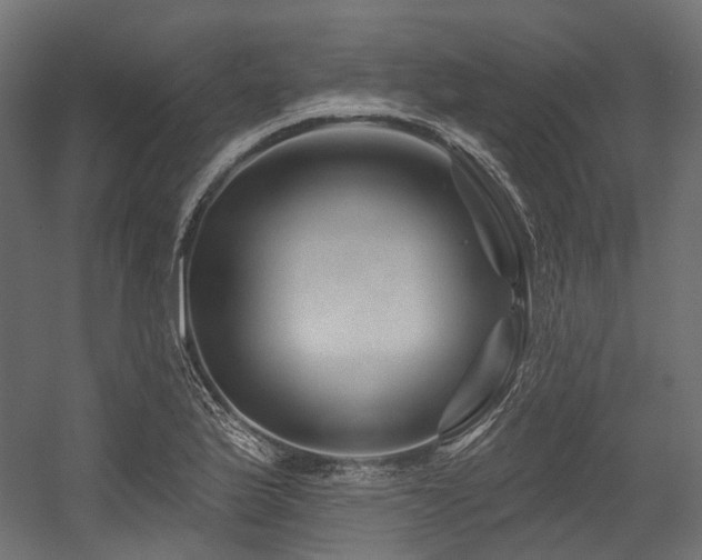 X0000054461175200507291340