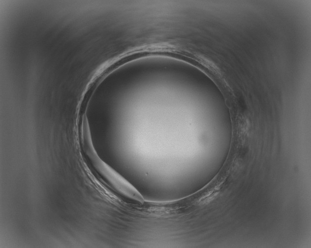 X0000054461176200507291340
