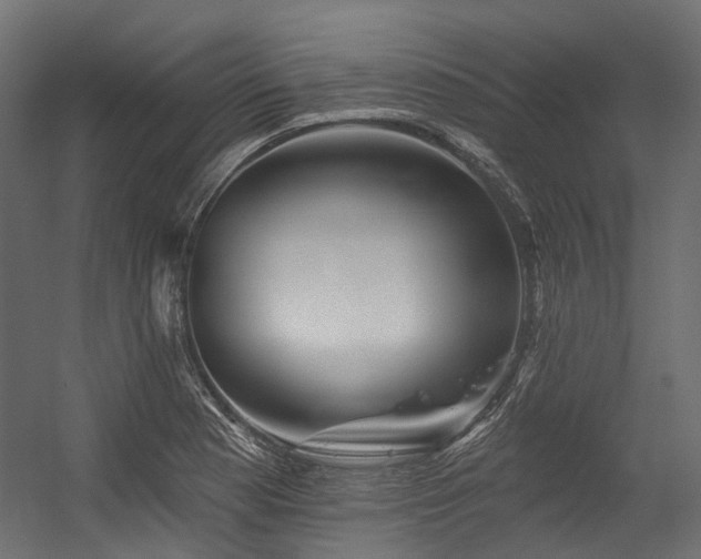 X0000054461177200507291340