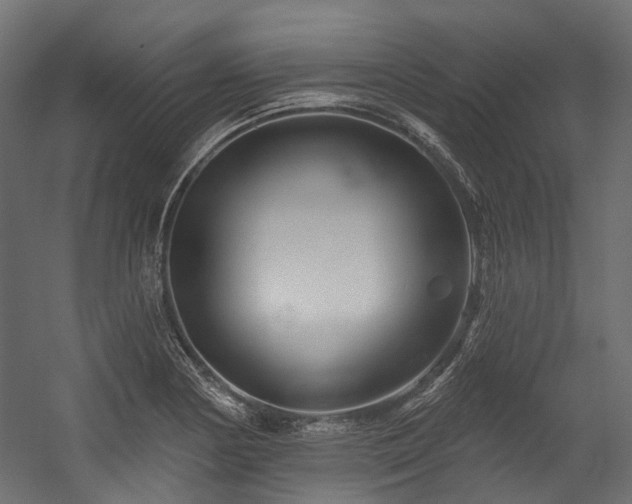 X0000054461178200507291340
